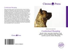 Capa do livro de Cumberland Sheepdog 