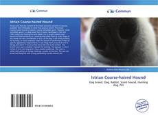 Buchcover von Istrian Coarse-haired Hound