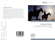 Capa do livro de Calabrese (Horse) 