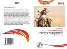 Обложка Hack (Falconry)