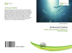 Driftwood Catfish kitap kapağı