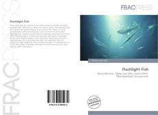 Buchcover von Flashlight Fish