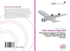 Capa do livro de Flash Airlines Flight 604 