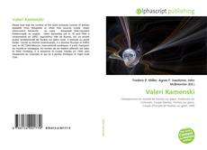 Bookcover of Valeri Kamenski