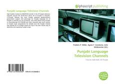 Bookcover of Punjabi Language Television Channels