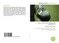 Bookcover of Brig Owens