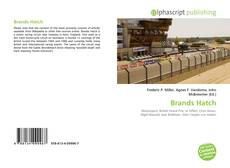 Bookcover of Brands Hatch