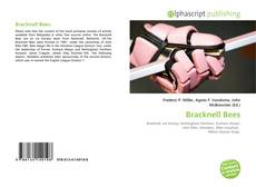 Borítókép a  Bracknell Bees - hoz