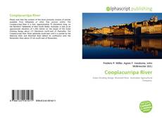 Borítókép a  Cooplacurripa River - hoz