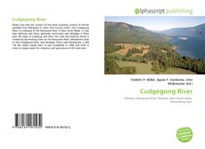 Borítókép a  Cudgegong River - hoz