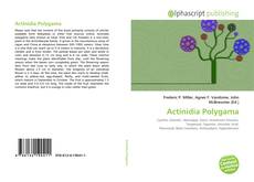 Borítókép a  Actinidia Polygama - hoz