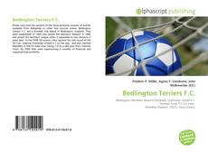 Borítókép a  Bedlington Terriers F.C. - hoz