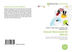 Borítókép a  Forever Now (Level 42 Album) - hoz