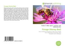 Обложка Forage (Honey Bee)