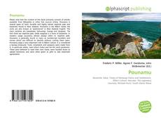Обложка Pounamu