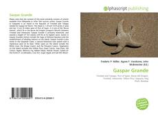 Capa do livro de Gaspar Grande 
