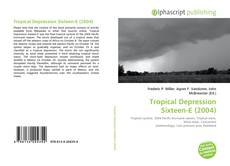 Bookcover of Tropical Depression Sixteen-E (2004)