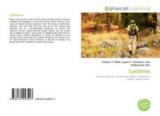 Обложка Cyclonus