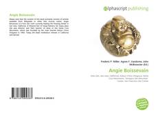 Bookcover of Angie Boissevain