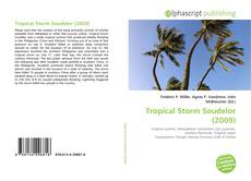 Capa do livro de Tropical Storm Soudelor (2009) 