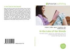 the struggles of john wade in the novel in the lake of the woods by tim obrien the struggles of john wade in the novel in the lake of the woods by tim obrien