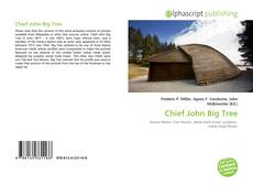 Borítókép a  Chief John Big Tree - hoz