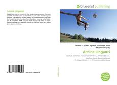 Capa do livro de Amine Linganzi 