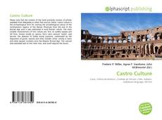 Bookcover of Castro Culture