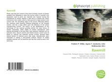 Capa do livro de Rawmill 