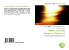 Capa do livro de Formosa Plastics Propylene Explosion 