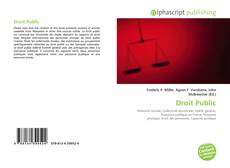 Bookcover of Droit Public