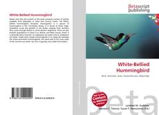 White-Bellied Hummingbird的封面
