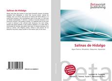Capa do livro de Salinas de Hidalgo 