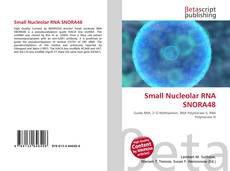 Small Nucleolar RNA SNORA48 kitap kapağı