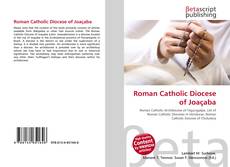Обложка Roman Catholic Diocese of Joaçaba