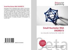 Small Nucleolar RNA SNORD73 kitap kapağı