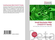 Small Nucleolar RNA Z163/Z177 family kitap kapağı