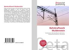 Bahnkraftwerk Muldenstein的封面