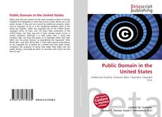 Public Domain in the United States的封面