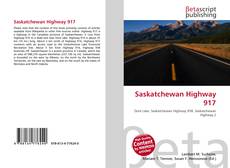 Capa do livro de Saskatchewan Highway 917 