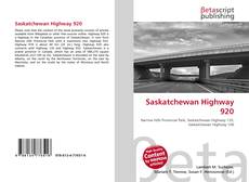 Capa do livro de Saskatchewan Highway 920 