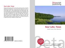 Capa do livro de Sour Lake, Texas 