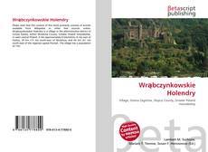 Capa do livro de Wrąbczynkowskie Holendry 
