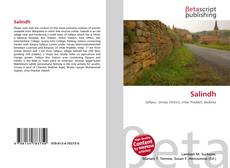 Обложка Salindh
