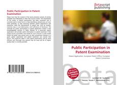 Bookcover of Public Participation in Patent Examination