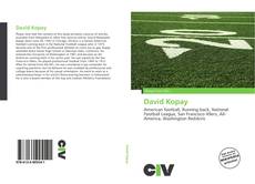 Bookcover of David Kopay