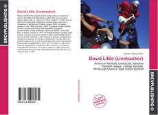 Portada del libro de David Little (Linebacker)