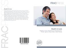 Capa do livro de Death in Love 