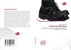 Capa do livro de Cameron Winslow 