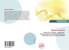 Buchcover von David Veikune